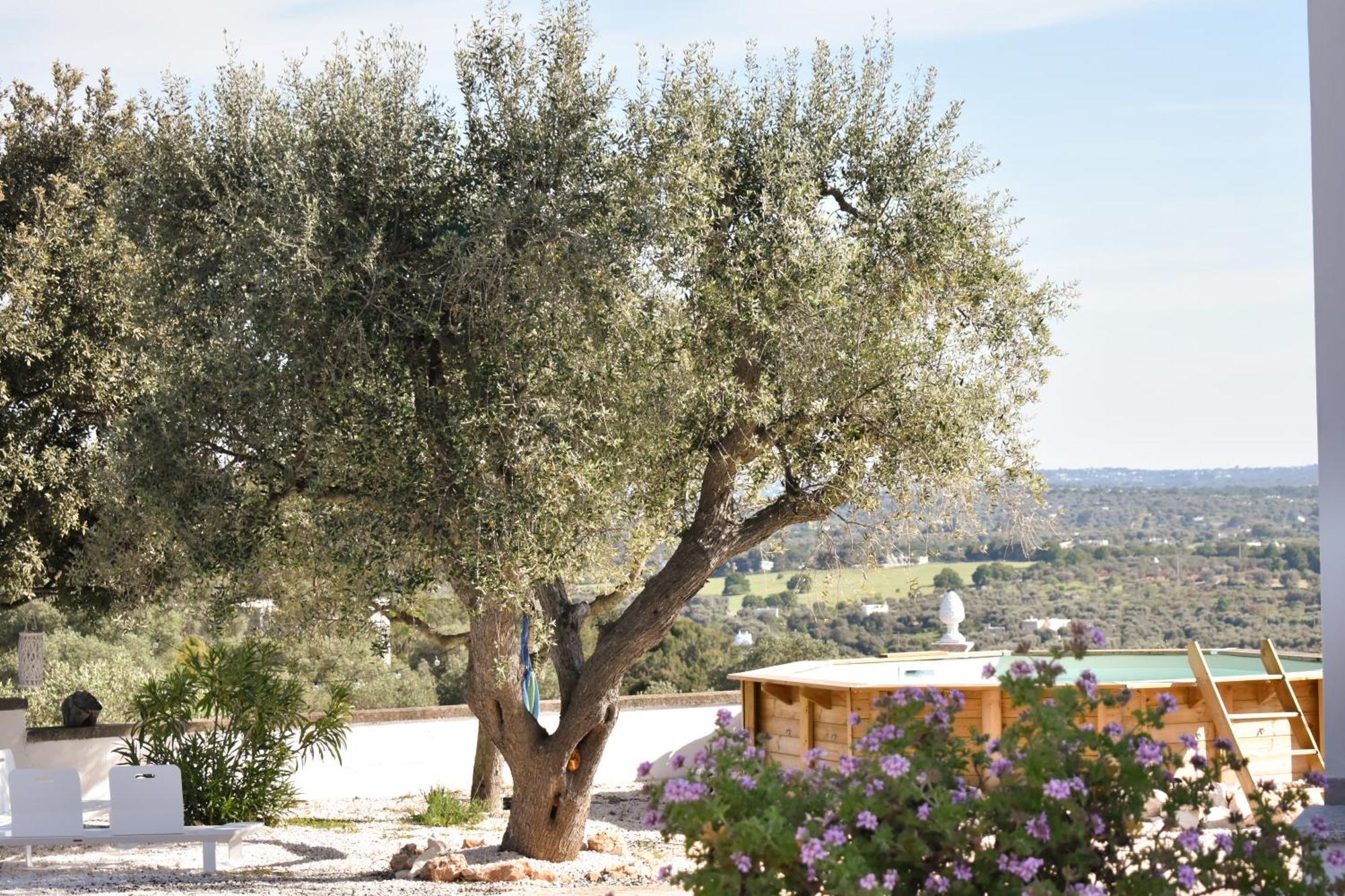 Hotel Terre D'Amore - For Couples Ostuni Exterior foto